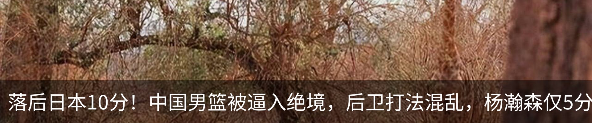 内页banner