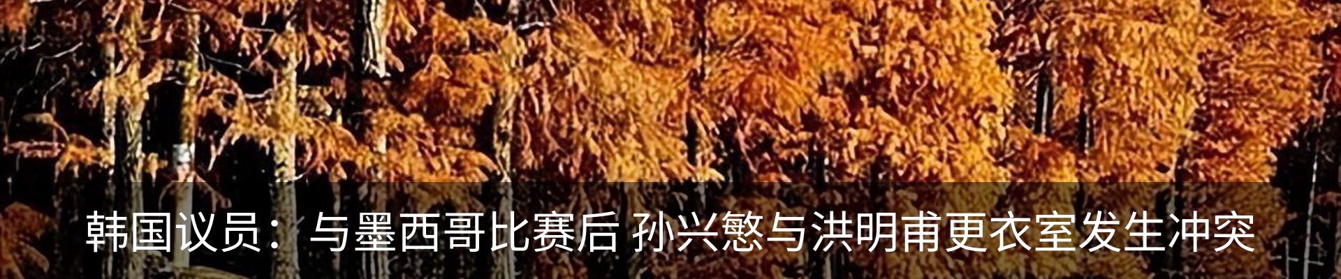 内页banner